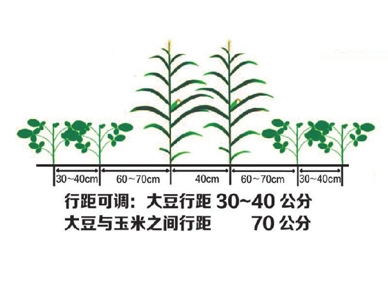 2BDYF-2-2-2型大豆玉米帶狀復合播種機